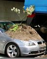 Click image for larger version

Name:	accident-tren-9.jpg
Views:	151
Size:	31.5 KB
ID:	53524