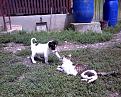 Click image for larger version

Name:	Foto0630.jpg
Views:	134
Size:	791.9 KB
ID:	59833