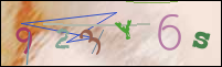Registration Image